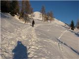 Monte Pieltinis in Monte Morgenleite Proti dolini - oz. na izhodišče